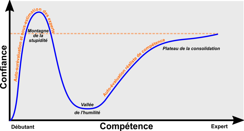 Graphique confiance compétences