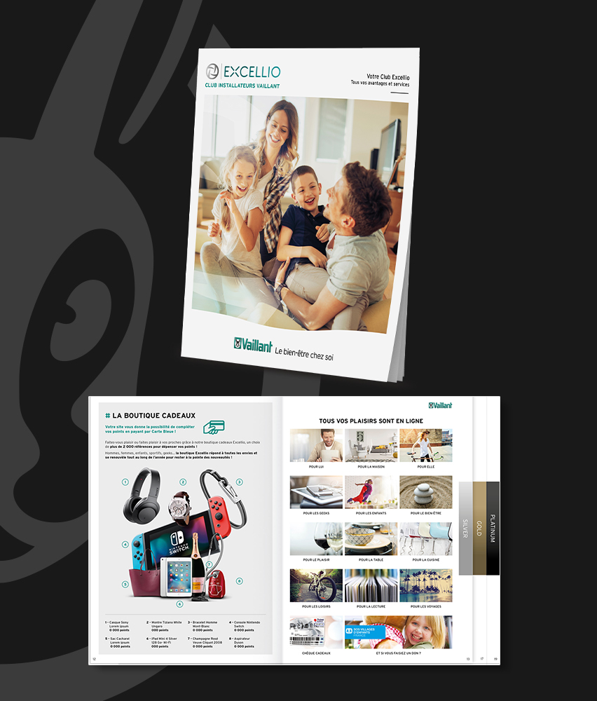 Vaillant_2_852x1000