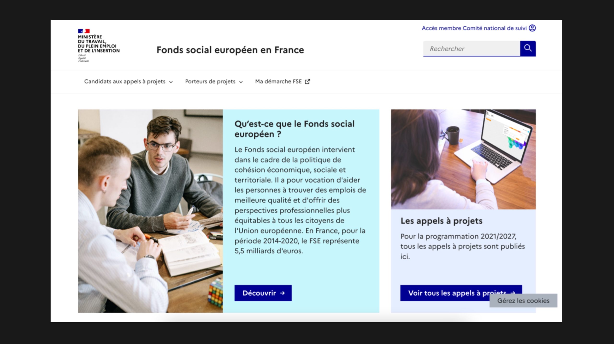 Page du site internet FSE