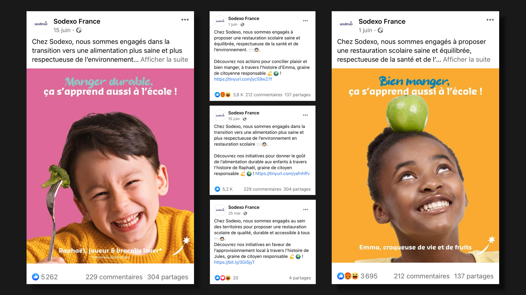 Visuel des posts Facebook sur le compte de Sodexo France