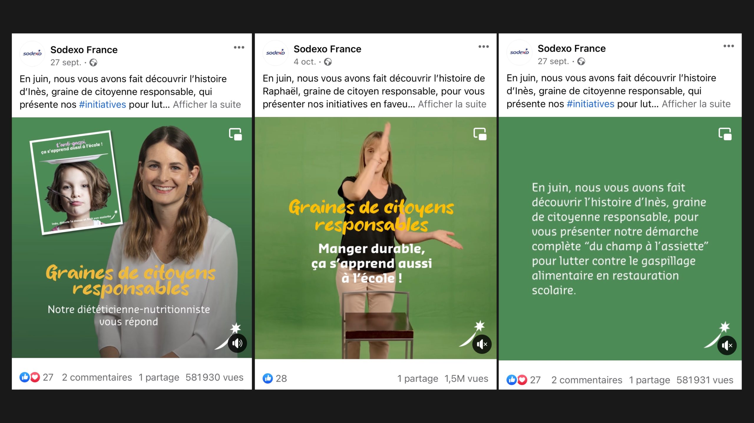 Visuel des posts Facebook sur le compte de Sodexo France