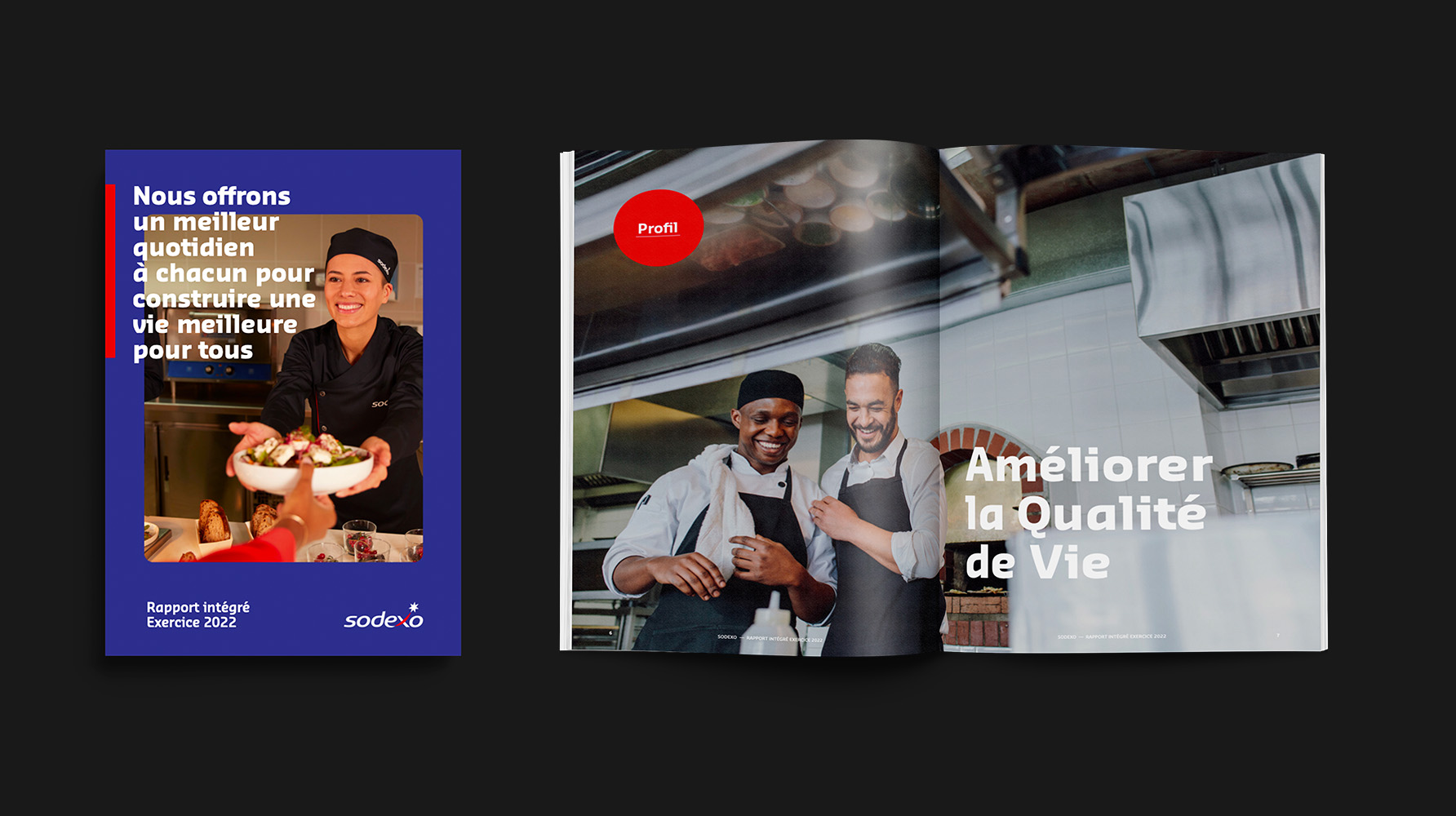 Sodexo rapport intégré